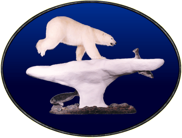 Polar Bear and Seals