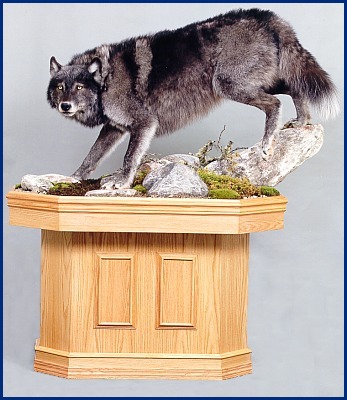 Wolf on pedestal